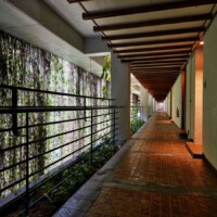 グリーンカーテン