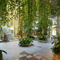 グリーンカーテン