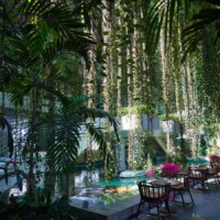 グリーンカーテン