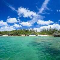 ヨウ島【アクティビティ】