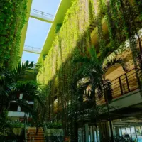 グリーンカーテン