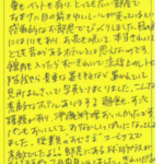 311号室に宿泊させていただきました。